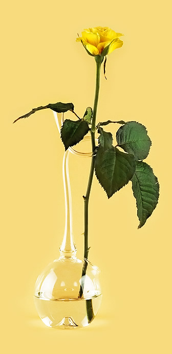 Ваза «Виток вдохновения» из стекла ручной работы